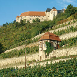 Schloss Neuenburg, Freyburg (Unstrut)